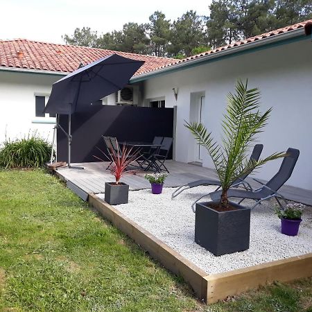 Pey Chambre D'Hotes Du Pin מראה חיצוני תמונה